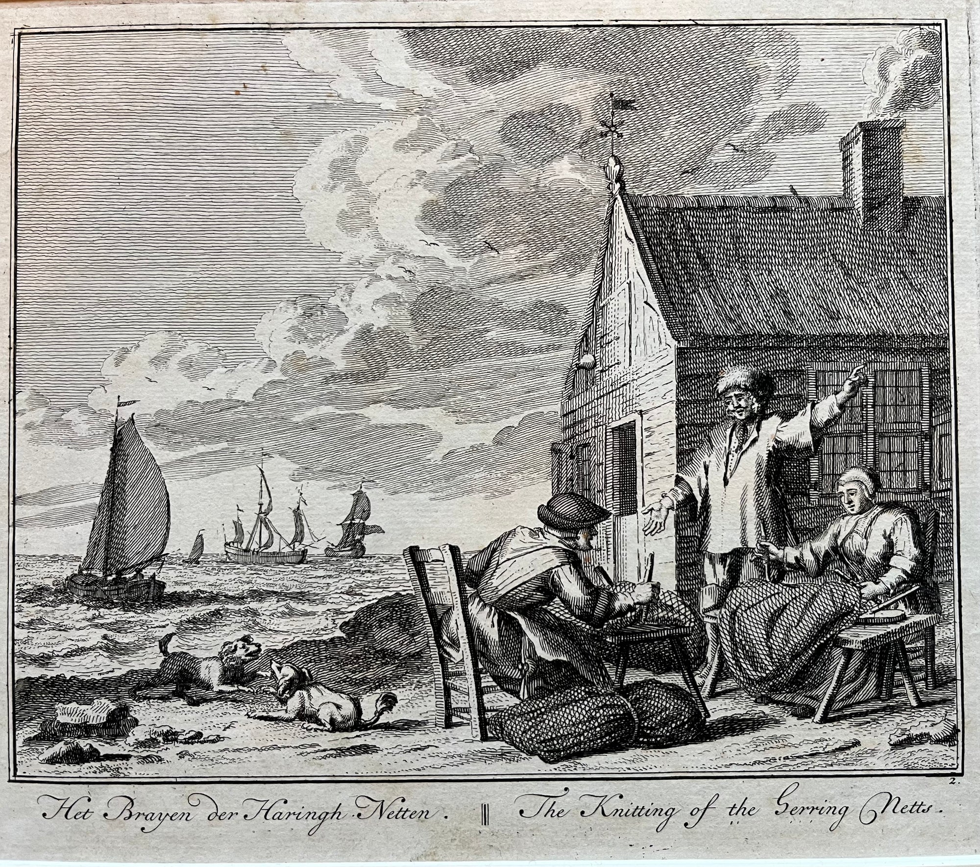 Dutch fishing herring